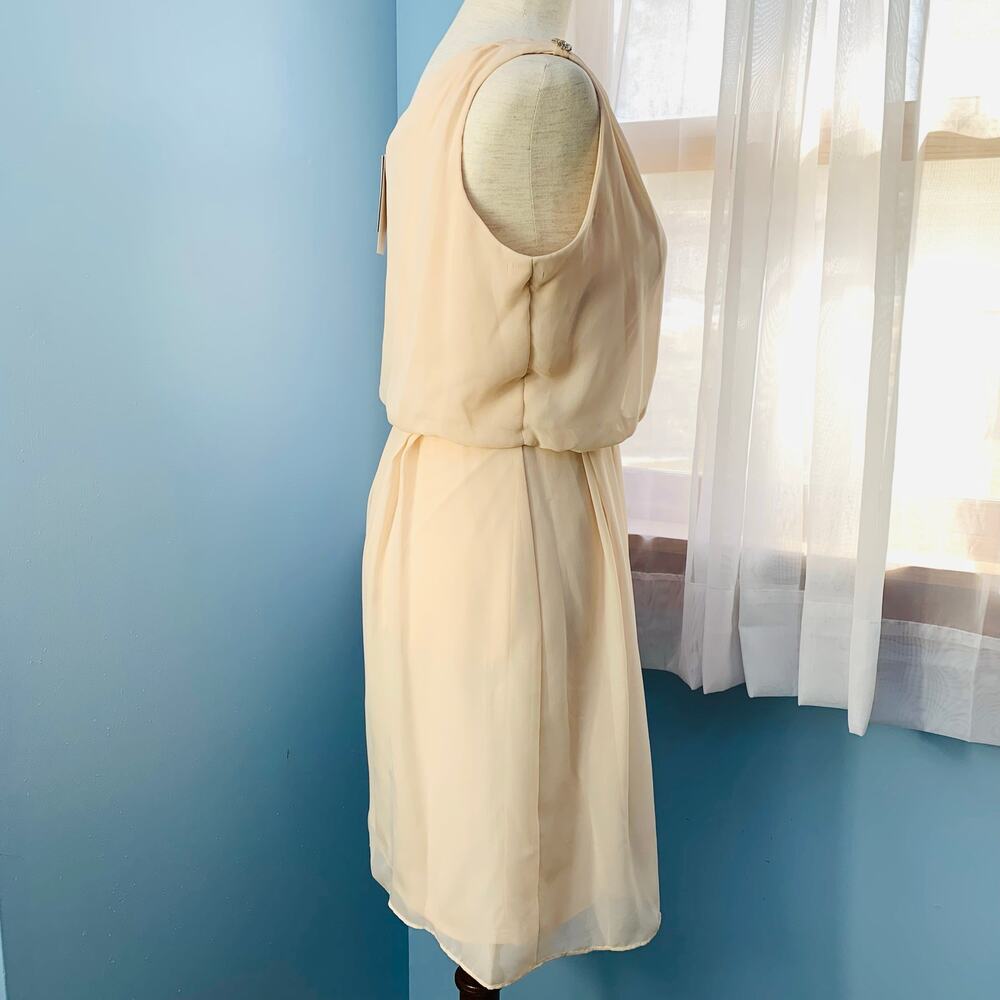 NWT Adrianna Papell Pink Blush One-Shoulder Chiffon Dress Size 4 - Picture 5 of 10